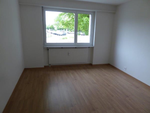 Wunderschöne grosse Wohnung in guter Lage zu vermieten 4