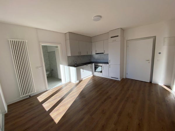 Appartement lumineux de 1 pièces avec balcon et vue sur les montagnes à Biasca 2
