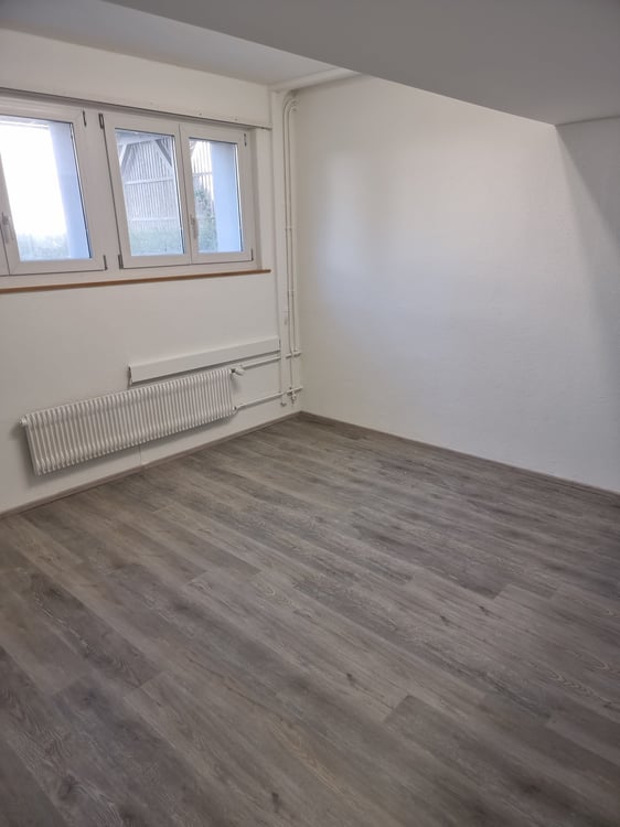 Neu renovierter Kellerraum ab sofort zu vermieten! 1