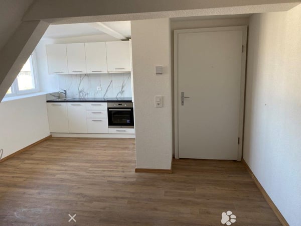 Charmante 1-Zimmer-Dachwohnung mit Estrich zu vermieten 2