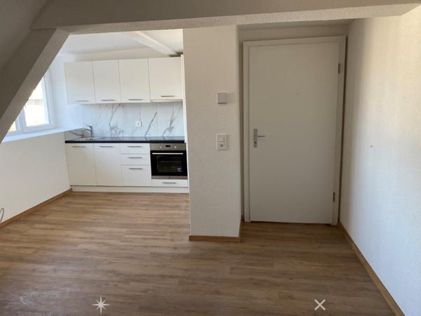 Charmante 1-Zimmer-Dachwohnung mit Estrich zu vermieten 2