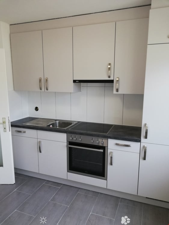 Geräumige renovierte 1.5-Zimmerwohnung mit 2 Balkonen 2
