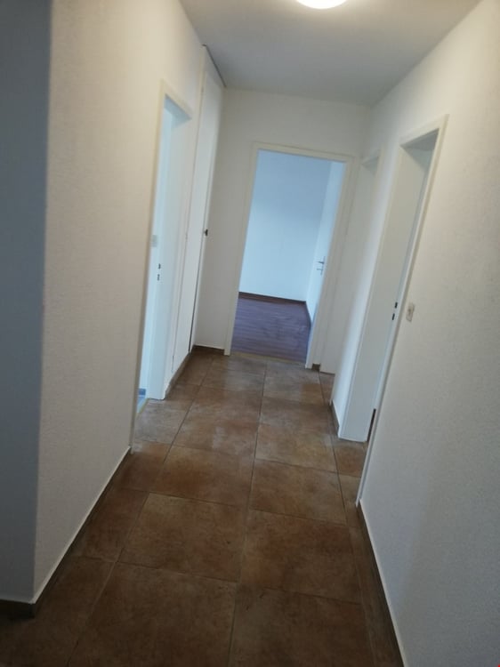 Geräumige renovierte 1.5-Zimmerwohnung mit 2 Balkonen 8