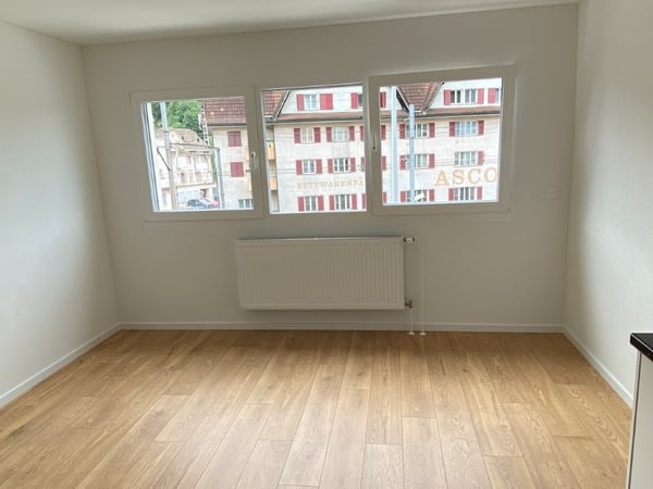Modernes 1-Zimmer-Apartment im Neubau an der Bahnhofstrasse in Seewen SZ 6