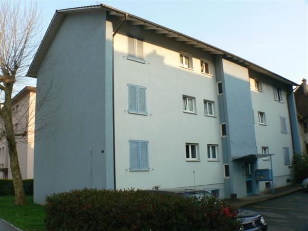 Gemütliche renovierte 3-Zimmerwohnung in Dietikon 1