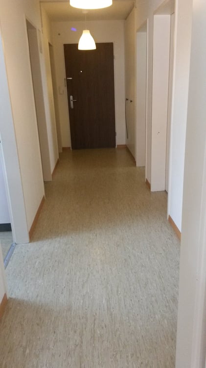 Wohnen am Rande von Regensdorf 4