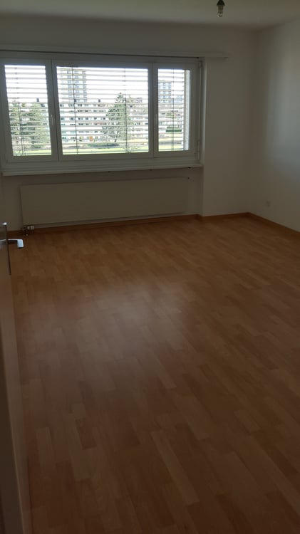 Wohnen am Rande von Regensdorf 5