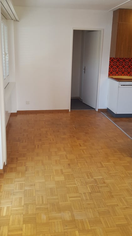 Wohnen am Rande von Regensdorf 3