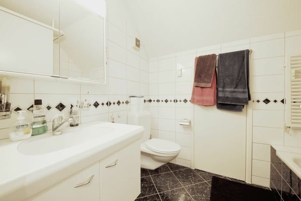 Grosszügige Dachwohnung mit 5 m Raumhöhe! 3