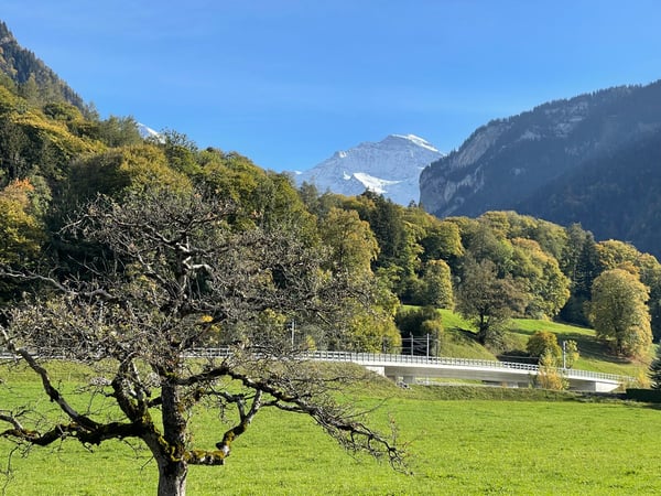Gemütliche 3-Zimmer-Wohnung mit Bergblick in Wilderswil 13