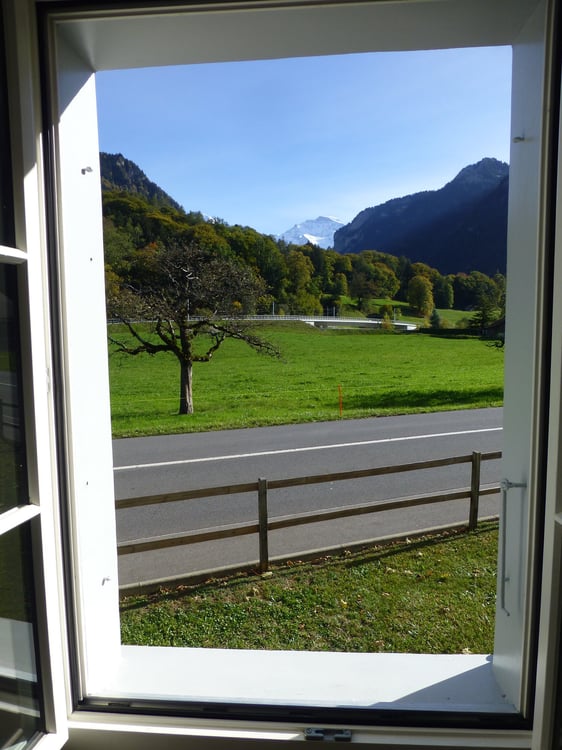 Gemütliche 3-Zimmer-Wohnung mit Bergblick in Wilderswil 1