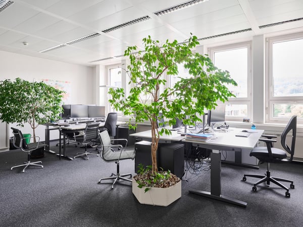 Attraktive Bürofläche mit Terrasse im Freilager Zürich 5. Obergeschoss 10