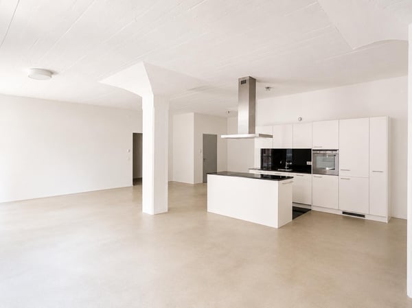 Stilvolle 4.5-Zimmer-Loftwohnung im Freilager Zürich 3