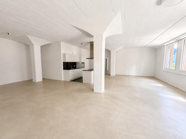 Stilvolle 4.5-Zimmer-Loftwohnung im Freilager Zürich 4