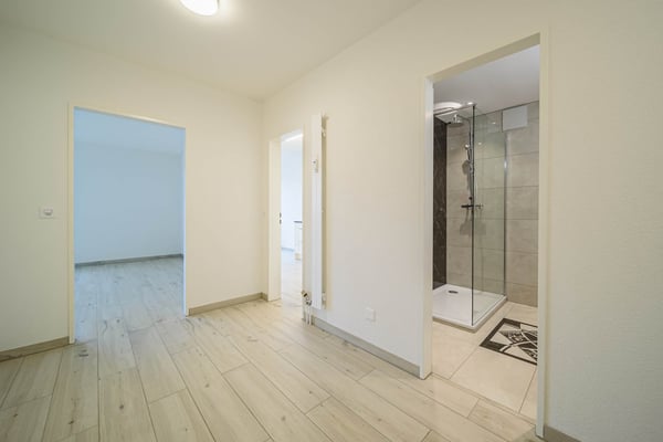Neu renovierte große 1.5 Zimmerwohnung mit Anbindung an privatem großen Park / Swimmingpool 3