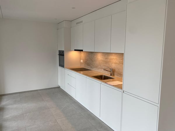 *EXKLUSIV* Ihre Traumwohnung (Attika) im Neubau Areal Freiegg 12