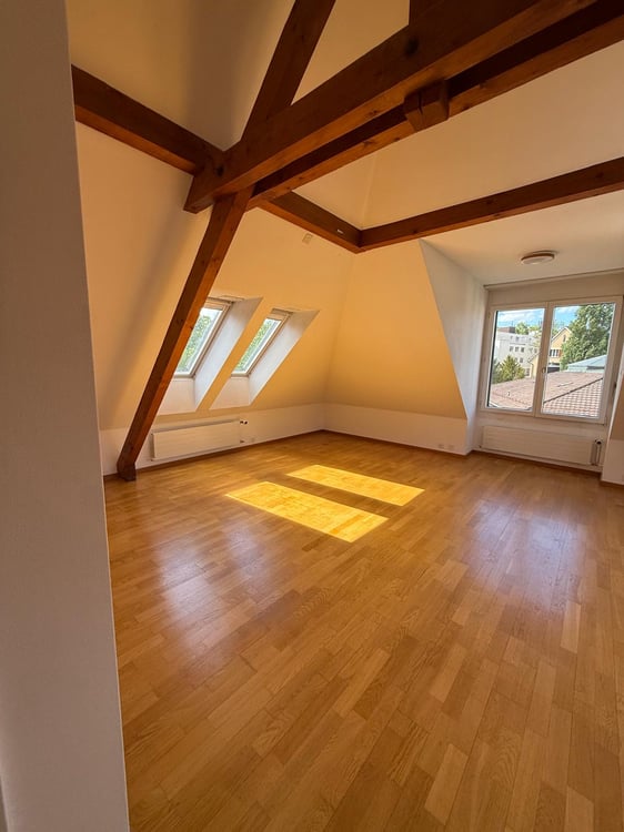 Charmante 2-Zimmer-Wohnung an der Rieterstrasse in Zürich 8002 – ab sofort verfügbar! 5