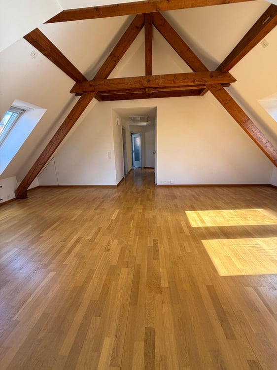 Charmante 2-Zimmer-Wohnung an der Rieterstrasse in Zürich 8002 – ab sofort verfügbar! 3