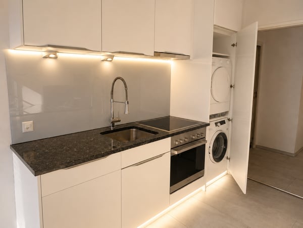 Neu renovierte große 4.5 Zimmerwohnung mit Anbindung an privatem großen Park 1