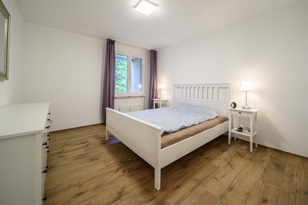 Neu renovierte große 3.5 Zimmerwohnung -Penthouse mit Anbindung an privatem großen Park 7
