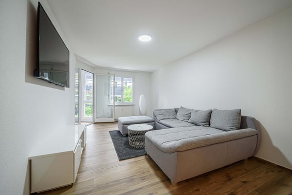Neu renovierte große 3.5 Zimmerwohnung -Penthouse mit Anbindung an privatem großen Park 5