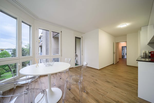 Neu renovierte große 3.5 Zimmerwohnung -Penthouse mit Anbindung an privatem großen Park 14