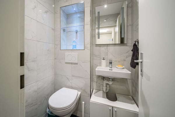 Neu renovierte große 3.5 Zimmerwohnung -Penthouse mit Anbindung an privatem großen Park 4