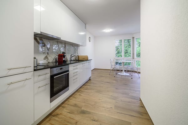 Neu renovierte große 3.5 Zimmerwohnung -Penthouse mit Anbindung an privatem großen Park 2