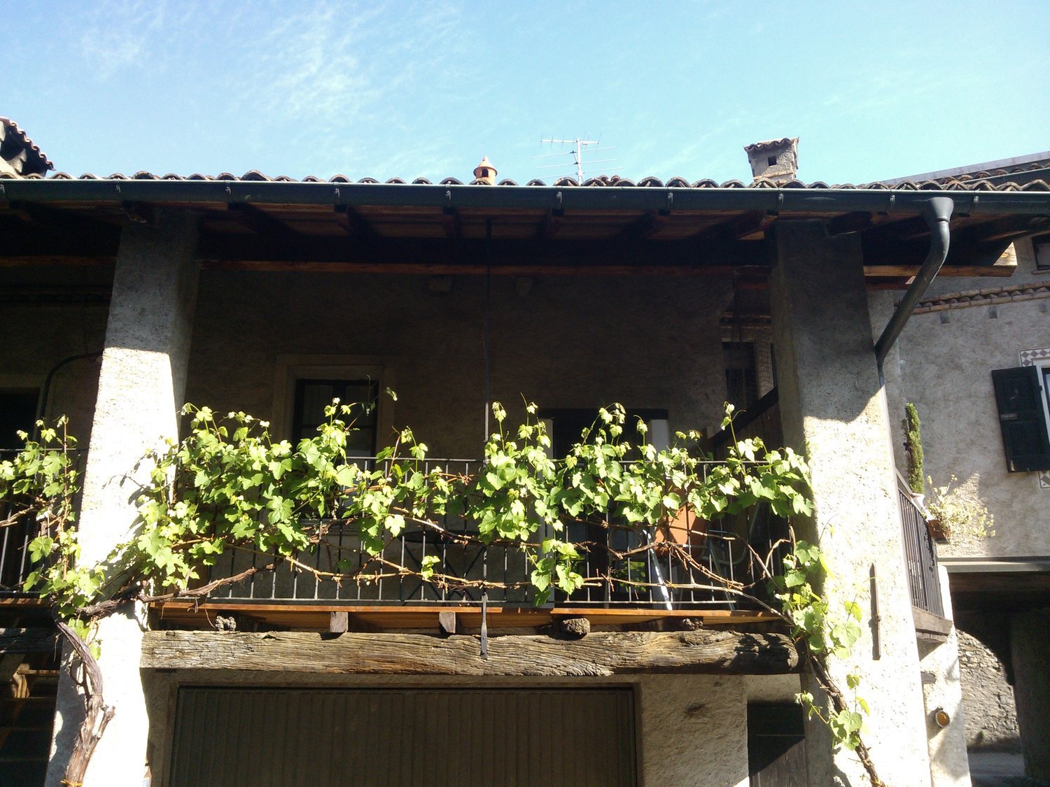 Bild APPARTAMENTO CON TERRAZZA NEL NUCLEO