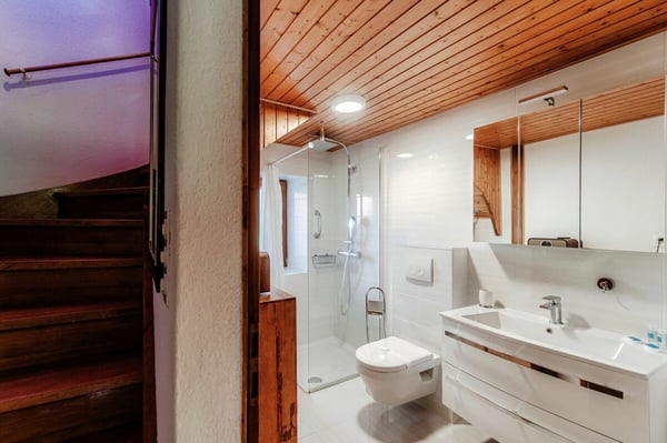 Accogliente duplex ristrutturato vicino all'EOC di Bellinzona - Casa vacanze 13