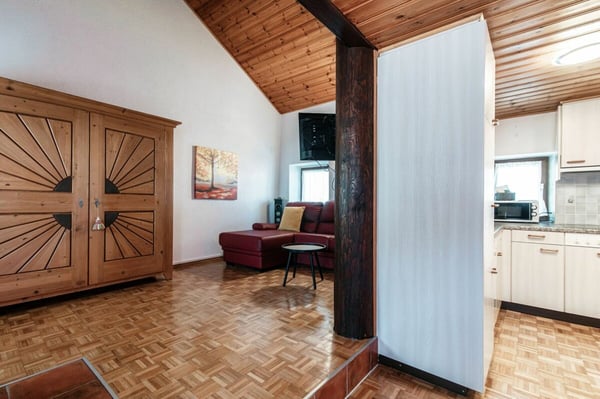 Accogliente duplex ristrutturato vicino all'EOC di Bellinzona - Casa vacanze 3