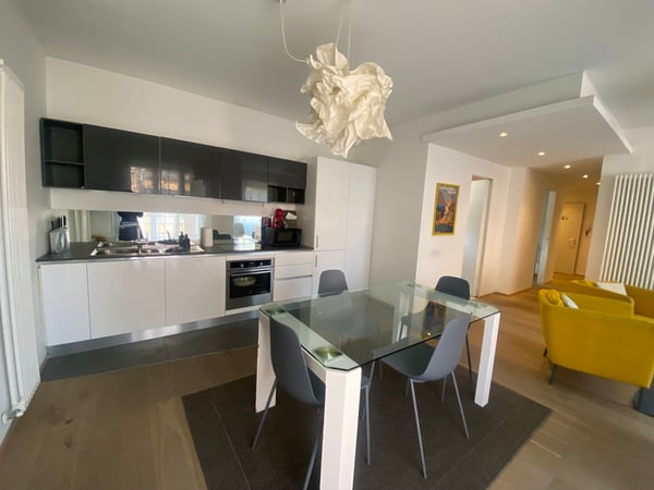 Lugano - Appartamento 1.5 loc arredato - P44 1