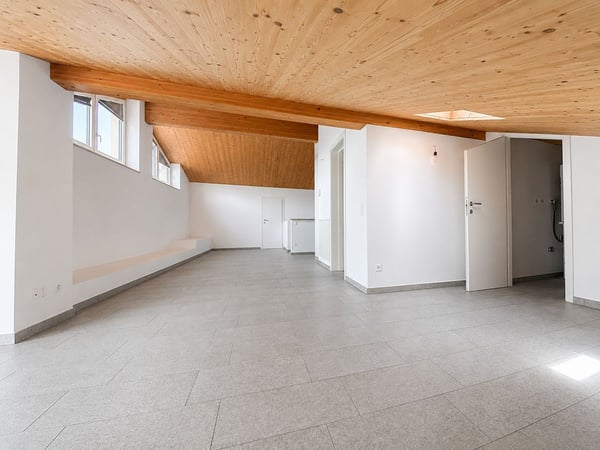 Manno-Elegante attico mansardato di 2.5 loc. completamente ristrutturato 12