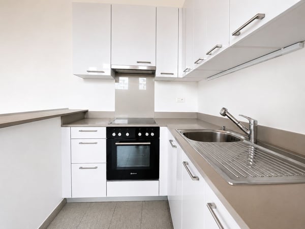 Manno-Elegante attico mansardato di 2.5 loc. completamente ristrutturato 5