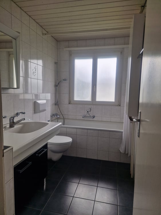 3.5 Zimmerwohnung an ruhiger Lage und trotzdem sehr zentral 8