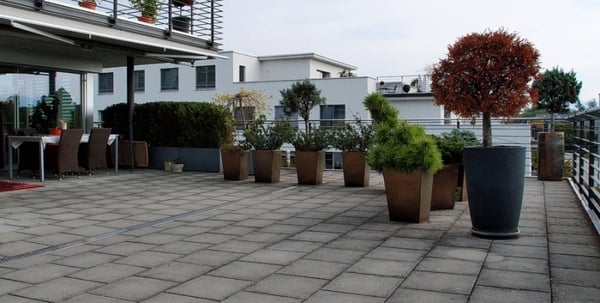 Attikawohnung 5.5 Zimmer für puren Wohngenuss 7