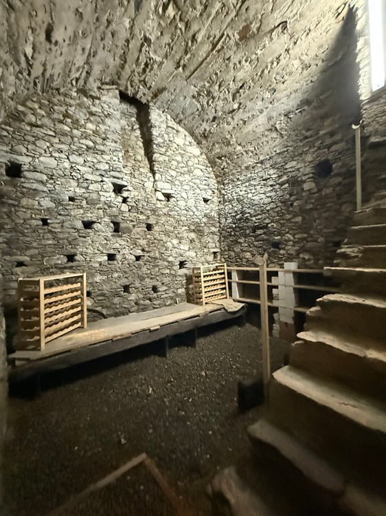 Casa monofamiliare a Giubiasco con grande giardino e spazio per tutti. 12