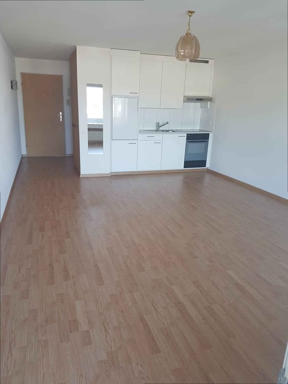 Herrliche 1 Zimmerwohnung zu vermieten! 2