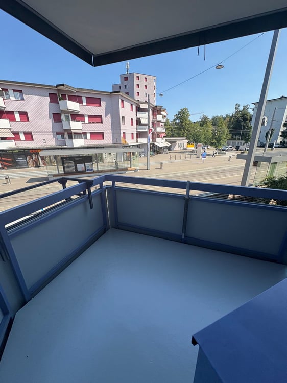Erstvermietung von totalsanierter 3.5-Zimmer-Wohnung an zentraler Lage in Dietikon 11