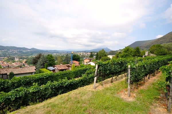 Terreno Edificabile 2'283 mq con Vista Panoramica a Morbio Superiore 8