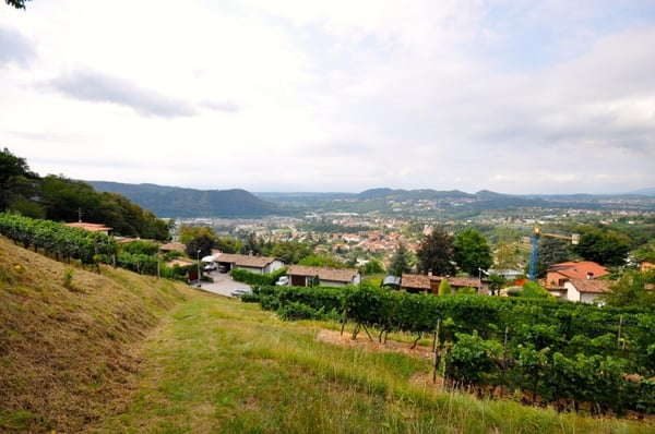 Terreno Edificabile 2'283 mq con Vista Panoramica a Morbio Superiore 3
