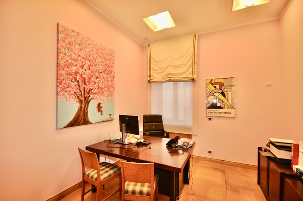 Elegante ufficio / appartamento di rappresentanza in centro Lugano 3