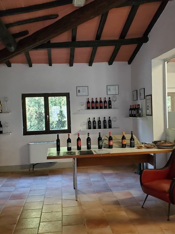 Vigneti di ca. 500 ettari con Ulivi, Bosco con Tartufi in Chianti 13