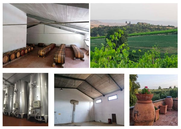 Vigneti di ca. 500 ettari con Ulivi, Bosco con Tartufi in Chianti 8