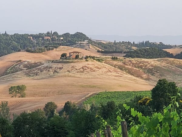 Vigneti di ca. 500 ettari con Ulivi, Bosco con Tartufi in Chianti 1