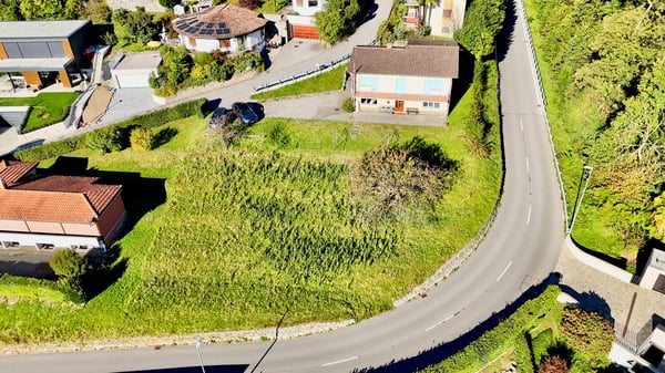 Terreno edificabile in zona verde e ottimo potenziale a Pura 1