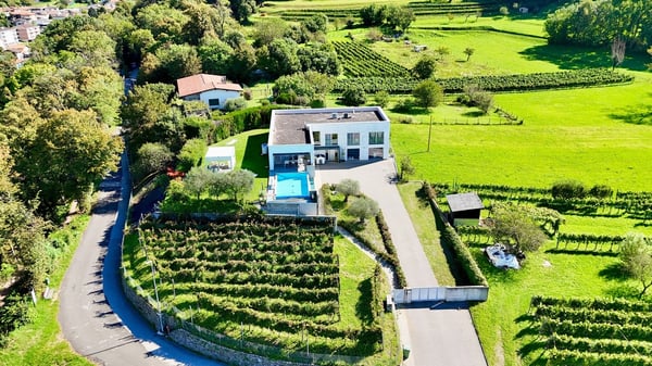 Prestigiosa villa Contemporanea con Giardino, Piscina e Vigna Privata 1