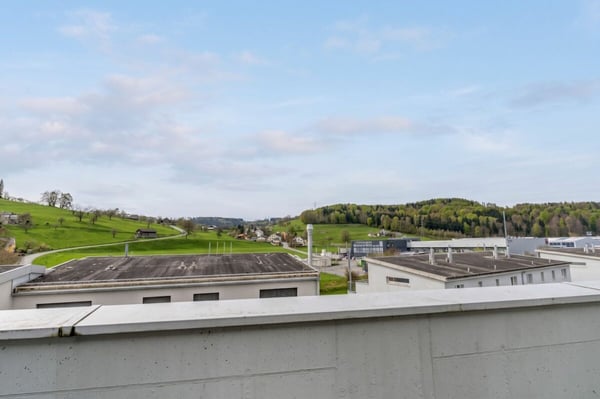 Modernes 7.5-Zimmer-Reiheneinfamilienhaus direkt am Naturerholungsgebiet Töss 20