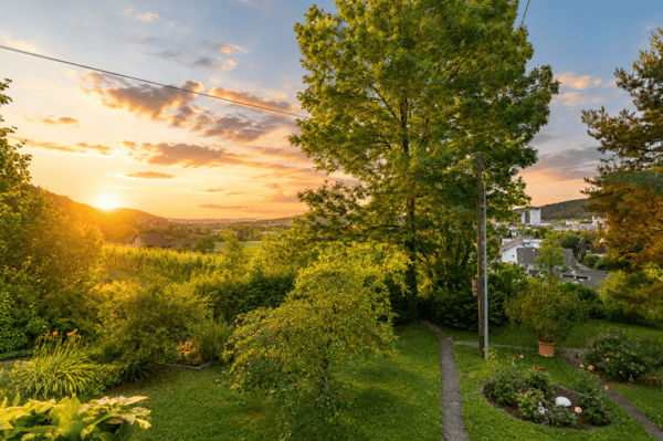 1839 m2 Bauland mit Aussicht inkl. Bestandesliegenschaft Bauernhaus 6
