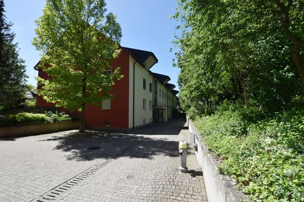 Charmante 5.5-Zimmer-Gartenwohnung an ruhiger Lage in Rikon 2